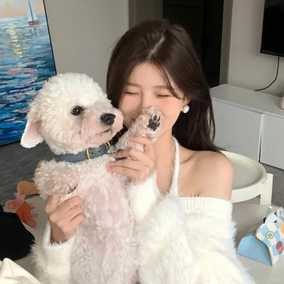 暴躁家族
